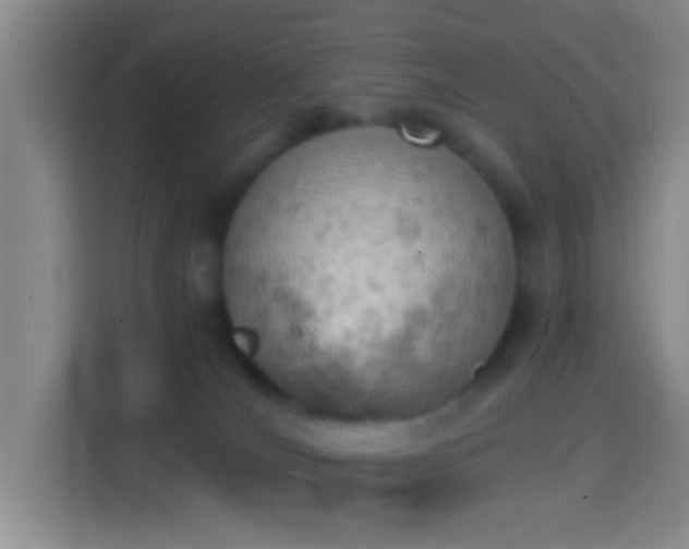 X0000114430036200910231242
