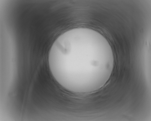 X0000114430037200910231242