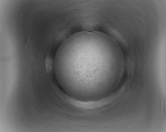 X0000114430038200910231242