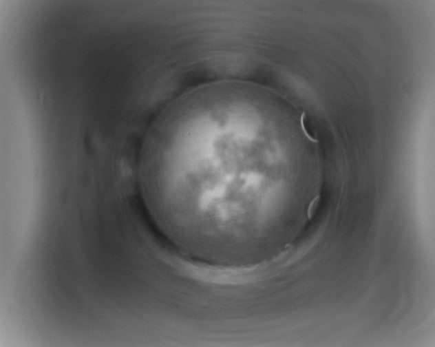 X0000114430040200910231242