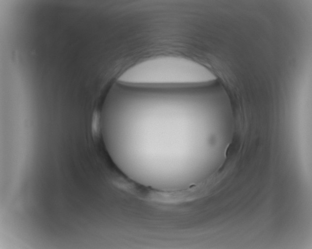 X0000114430041200910231242