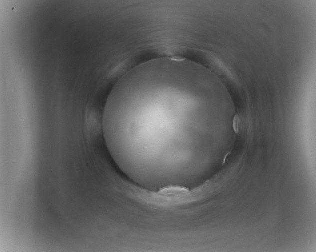 X0000114430043200910231242