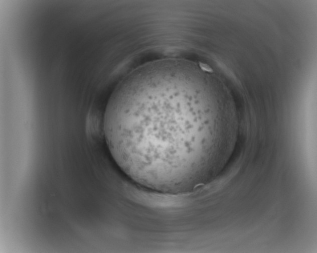 X0000114430044200910231242