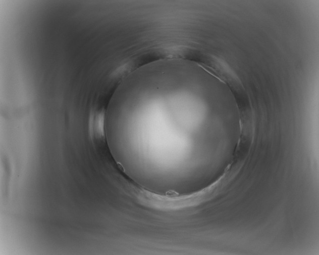 X0000114430047200910231242