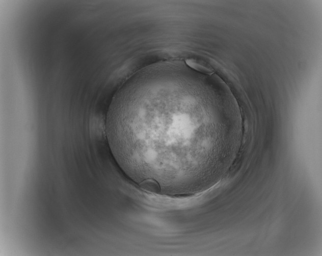 X0000114430048200910231242