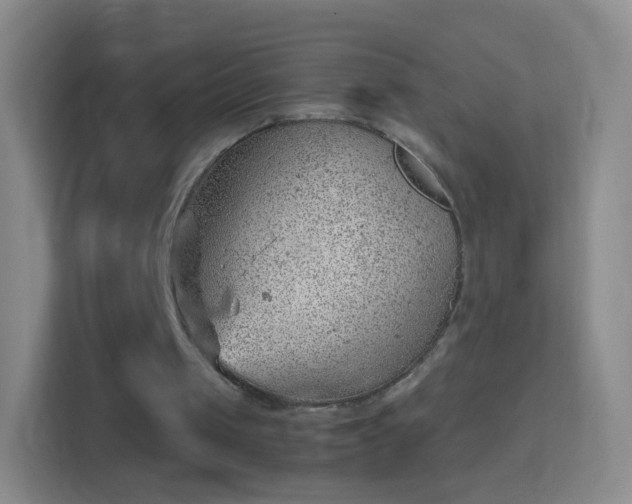 X0000114430049200910231242