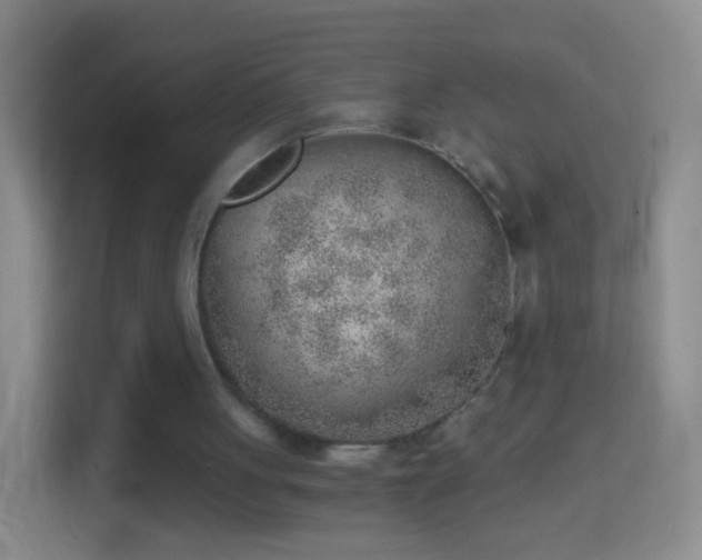 X0000114430051200910231242