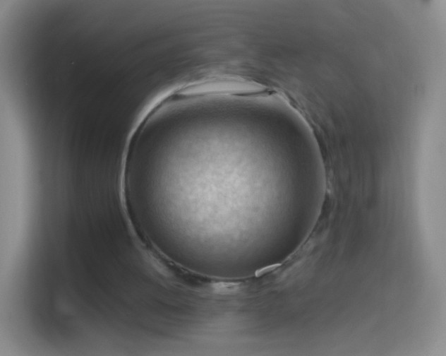 X0000114430052200910231242