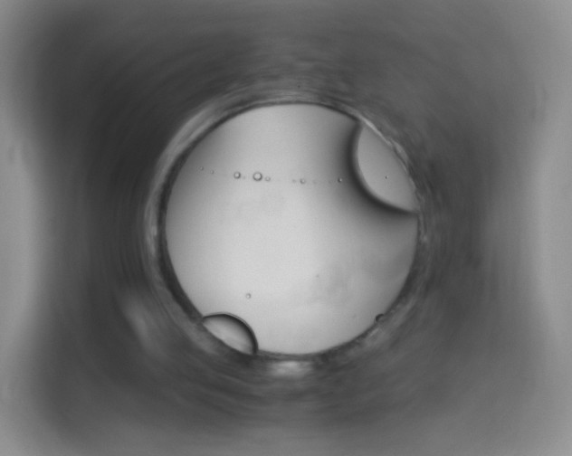 X0000114430053200910231242
