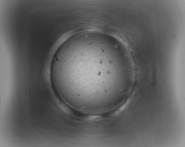 X0000114430055200910231242