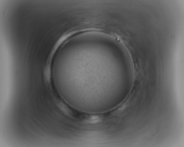 X0000114430056200910231242