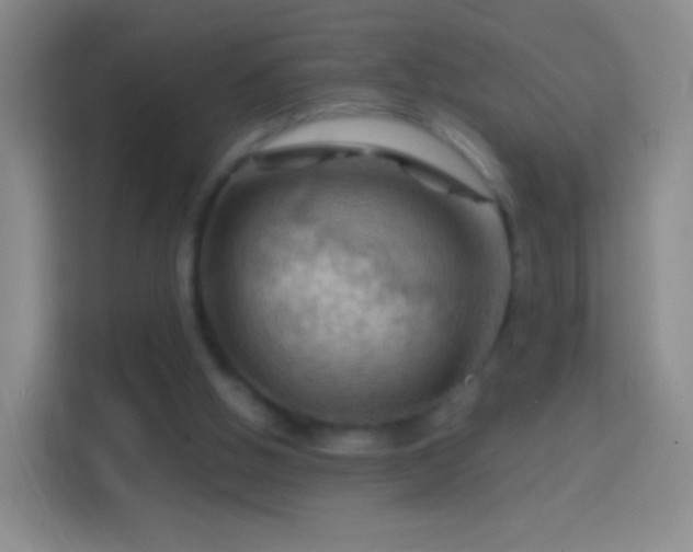 X0000114430058200910231242