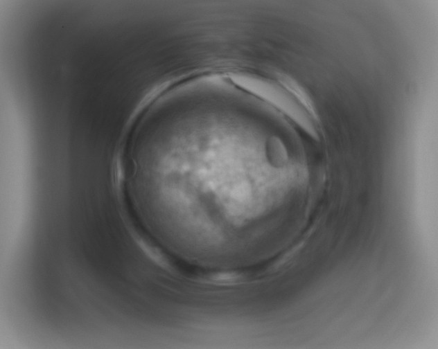 X0000114430059200910231242