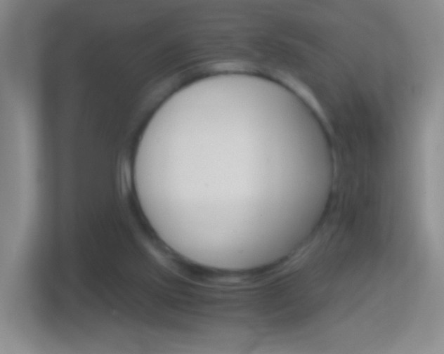 X0000114430061200910231242