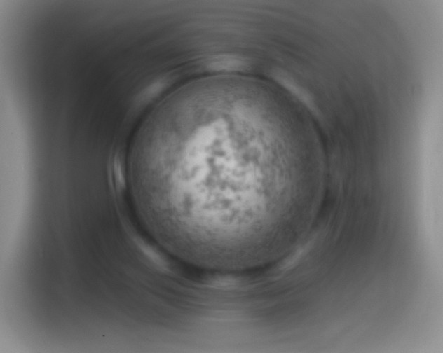 X0000114430062200910231242