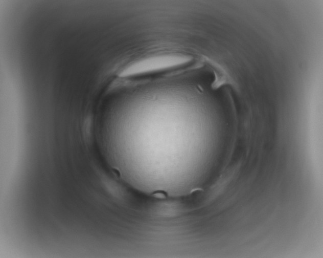 X0000114430066200910231242