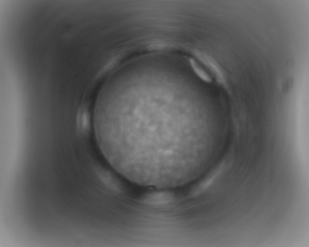 X0000114430067200910231242