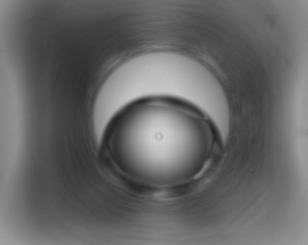 X0000114430068200910231242