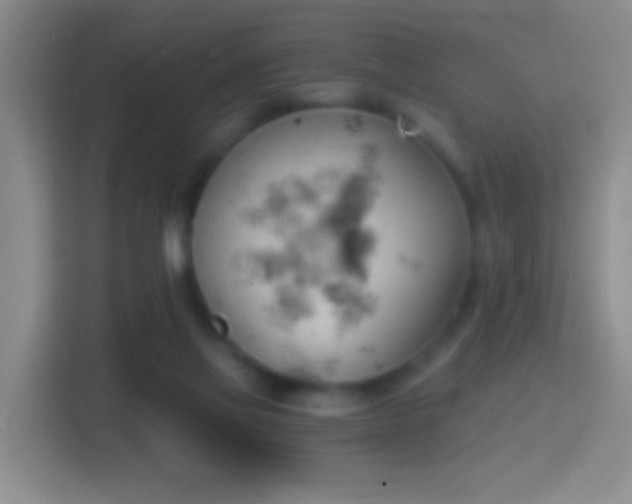 X0000114430069200910231242