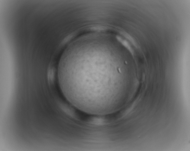 X0000114430071200910231242