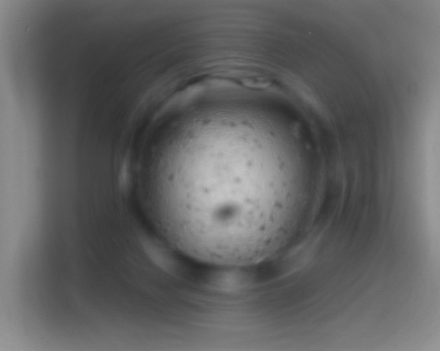 X0000114430074200910231242
