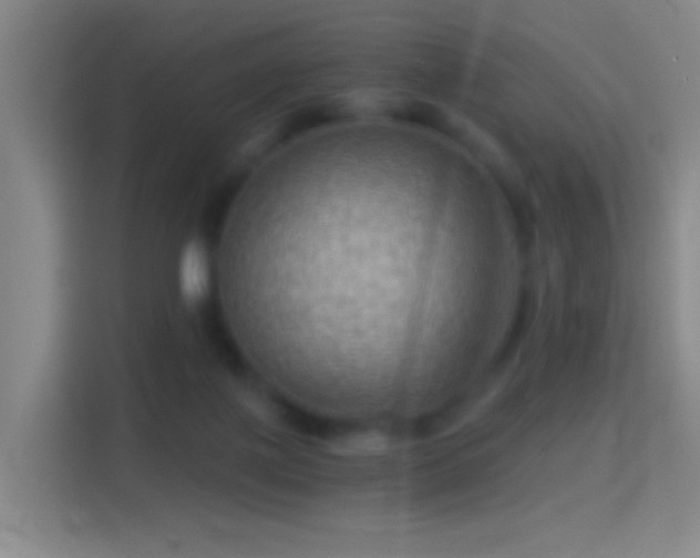 X0000114430075200910231242
