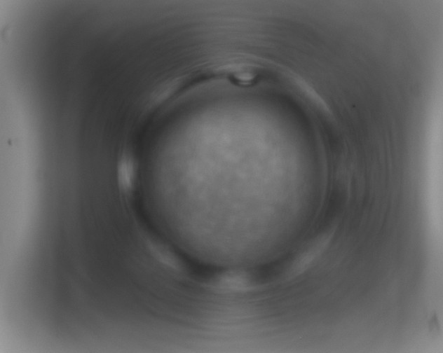 X0000114430076200910231242