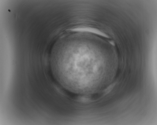 X0000114430078200910231242
