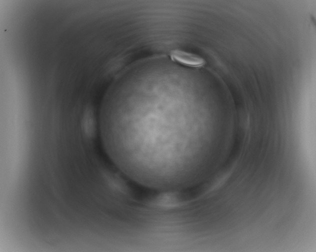 X0000114430080200910231242