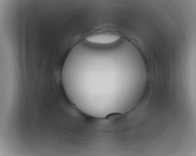 X0000114430081200910231242
