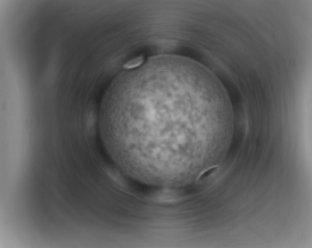 X0000114430082200910231242