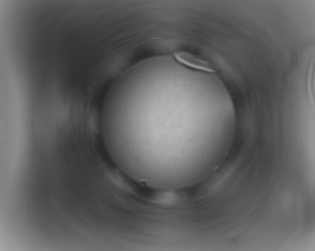 X0000114430083200910231242