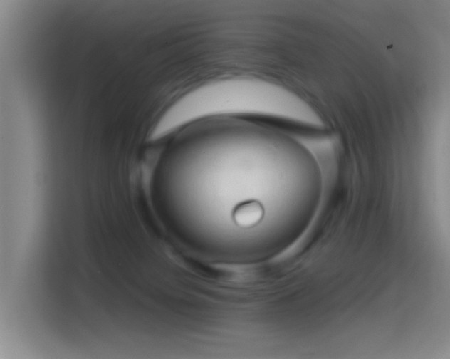 X0000114430084200910231242