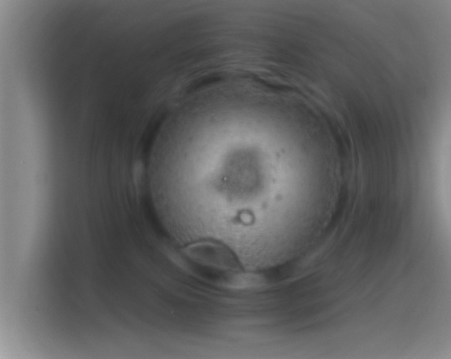 X0000114430087200910231242