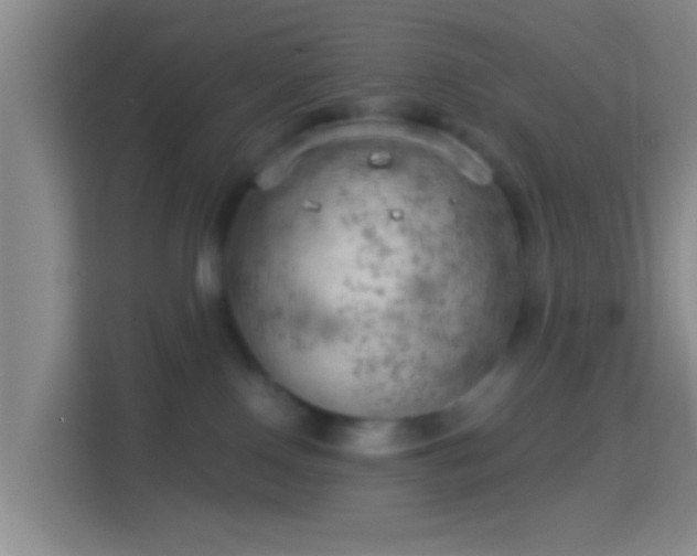 X0000114430090200910231242