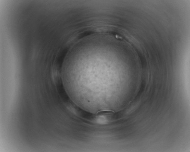 X0000114430091200910231242