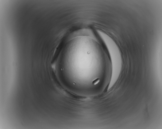 X0000114430092200910231242