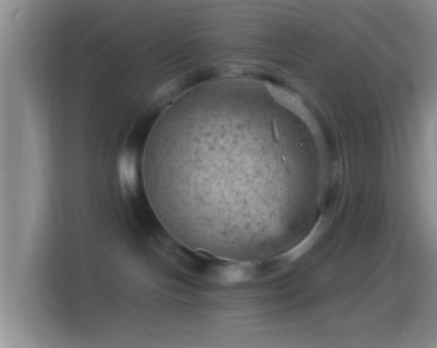 X0000114430094200910231242