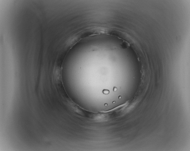 X0000114430096200910231242