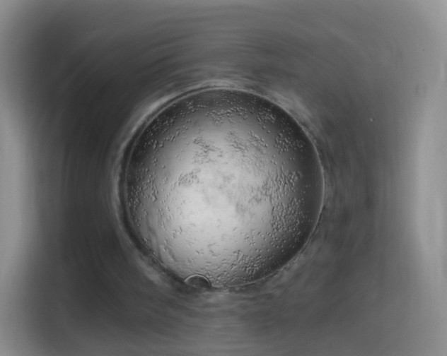 X0000114430098200910231242