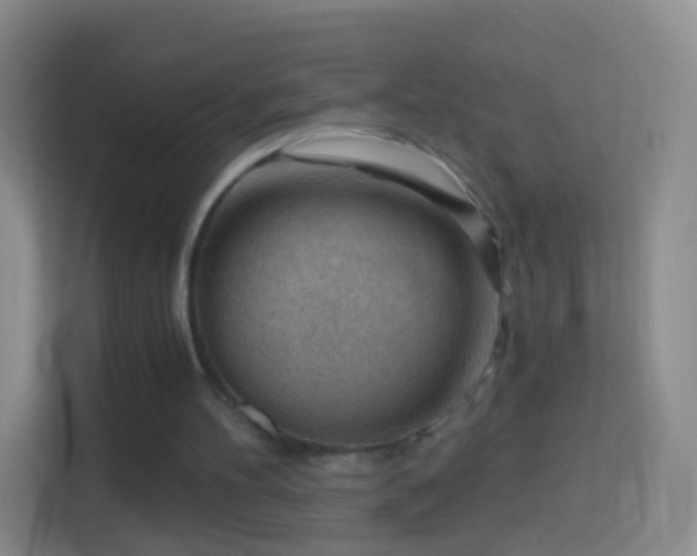 X0000114430100200910231242