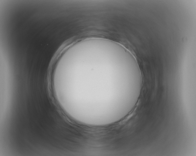 X0000114430101200910231242