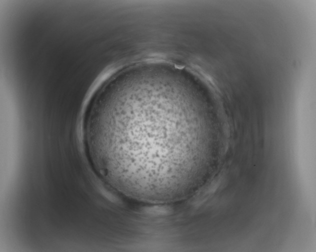 X0000114430102200910231242
