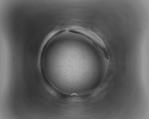 X0000114430104200910231241