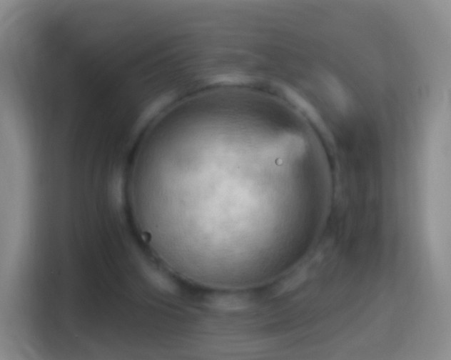 X0000114430106200910231241