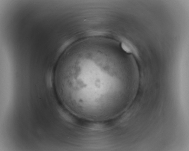 X0000114430107200910231241