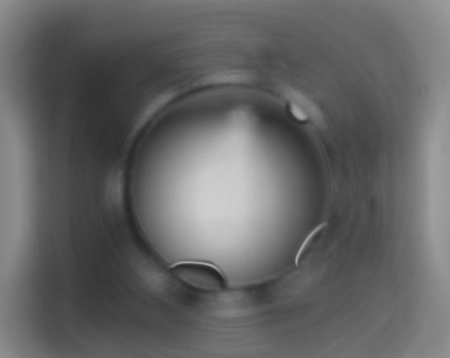 X0000114430108200910231241