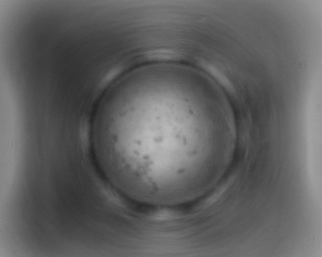 X0000114430111200910231241