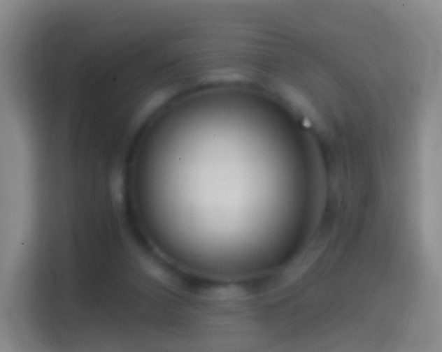 X0000114430112200910231241