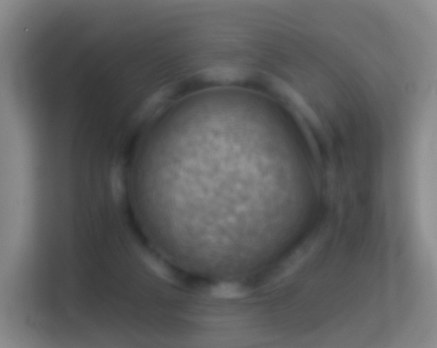 X0000114430114200910231241
